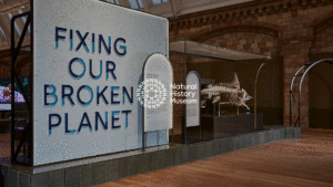 Final installation of Fixing Our Broken Planet gallery at the Natural History Museum featuring clay landscapes by LAMÁQUINA